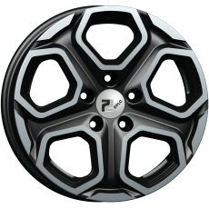 RPLC Fo241